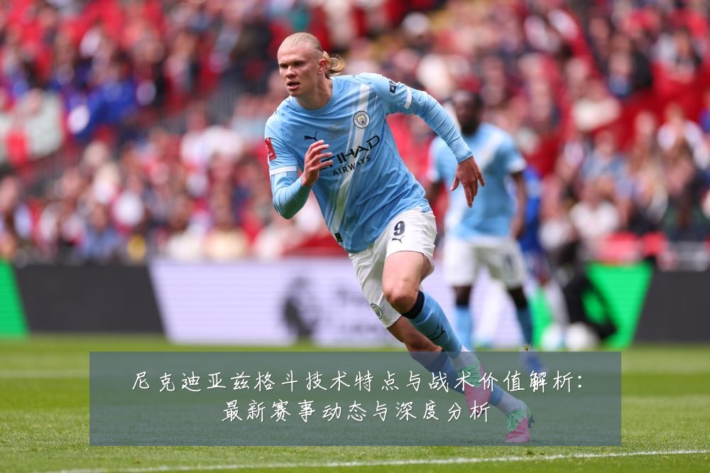 尼克迪亚兹格斗技术特点与战术价值解析:最新赛事动态与深度分析